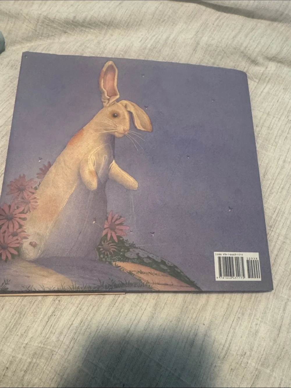 N/A velveteen rabbit